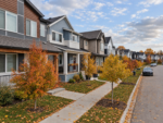 Edgemont Edgemont Fall 8