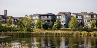 Paisley _L5A3200-lowres