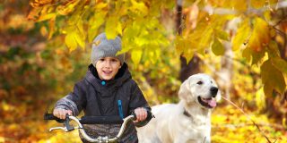 Chinook Gate autumn walk with pet
