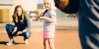 Chinook Gate Chinook-Gate-Ball-Diamonds-2560-1707