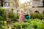 Chappelle Gardens Community-Garden-4